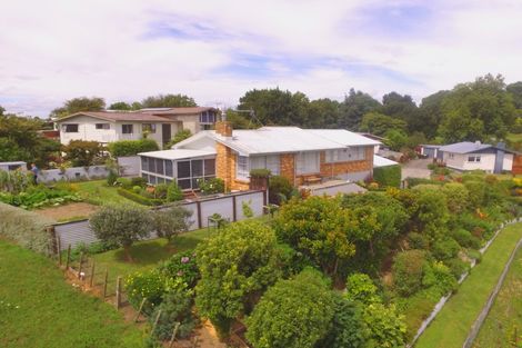 Photo of property in 115 Reservoir Street, Putaruru, 3411