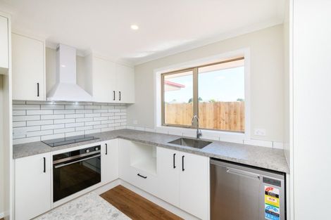 Photo of property in 43 Hereford Street, Marton, 4710