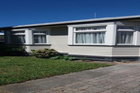 Photo of property in 423 Massey Street, Akina, Hastings, 4122