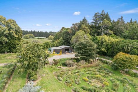Photo of property in 288 Oropi Gorge Road, Oropi, Tauranga, 3173