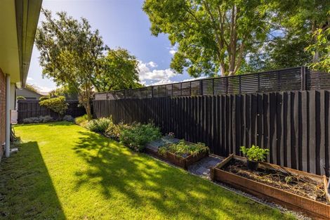 Photo of property in 1/61a Condell Avenue, Papanui, Christchurch, 8053