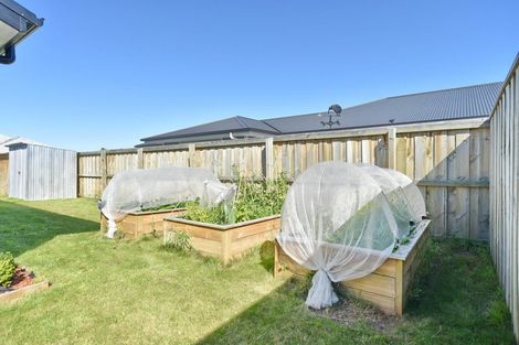 Photo of property in 31 El Alamein Avenue, Rangiora, 7400