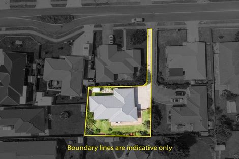 Photo of property in 59 Darlington Street, Ngatea, 3503