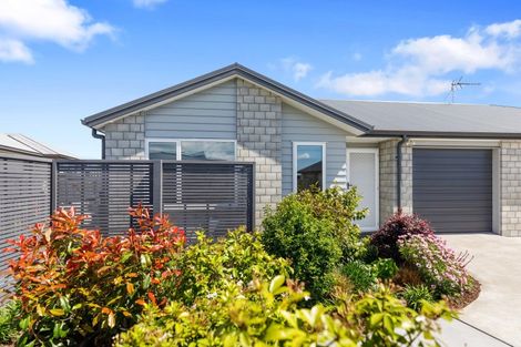 Photo of property in 14 Foley Grove, Pyes Pa, Tauranga, 3110