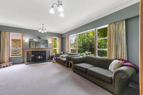 Photo of property in 53 Smith Street, Matamata, 3400