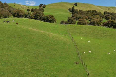 Photo of property in 455 Anaroa Road, Raukawa, Hastings, 4174