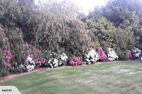 Photo of property in 300 Scott Street, Tisbury, Invercargill, 9877