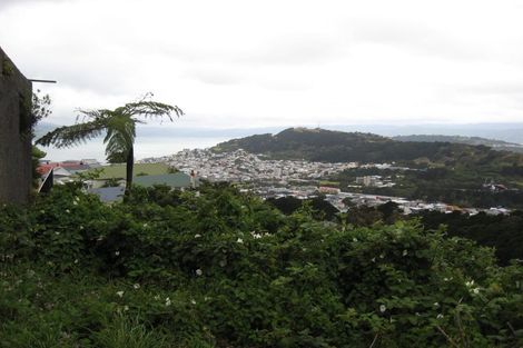 Photo of property in 117 Washington Avenue, Brooklyn, Wellington, 6021