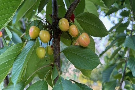 Photo of property in 72 Toi Toi Street, Toi Toi, Nelson, 7010