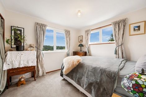 Photo of property in 9 Allen Street, Naseby, 9396