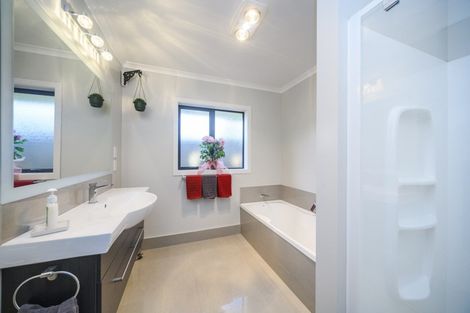 Photo of property in 94a Fitzroy Street, Terrace End, Palmerston North, 4410