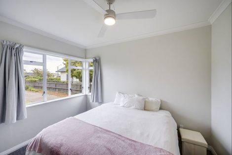 Photo of property in 401a Awatea Street, Akina, Hastings, 4122