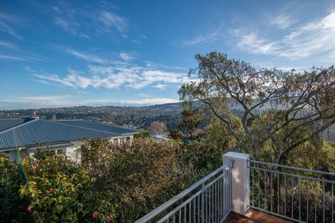 Photo of property in 113 Signal Hill Road, Opoho, Dunedin, 9010