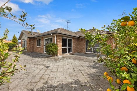 Photo of property in 97 Millers Road, Brookfield, Tauranga, 3110