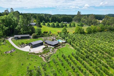 Photo of property in 117a Te Puea Road, Tikitere, Rotorua, 3074