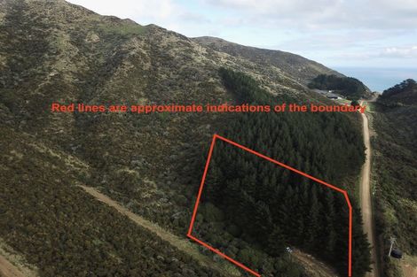 Photo of property in Long Gully Farm, 391 Southernthread Road, Brooklyn, Wellington, 6021