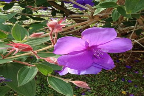 Photo of property in 4/64 Gibbons Street, Ebdentown, Upper Hutt, 5018