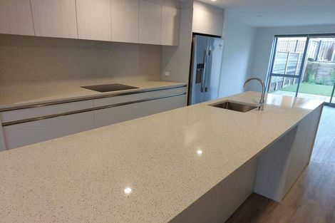 Photo of property in 19 Gunn Way, Hobsonville, Auckland, 0616