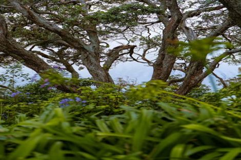 Photo of property in 37 Pohutukawa Drive, Athenree, Katikati, 3177