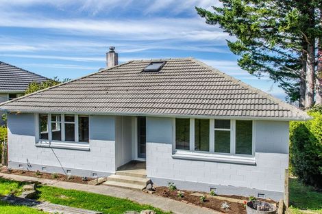 Photo of property in 57 Wray Street, Brockville, Dunedin, 9011