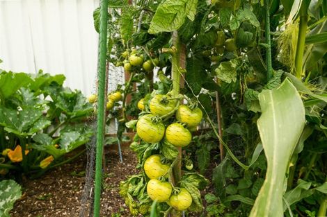 Photo of property in 2 Walton Street, Bulls, 4818