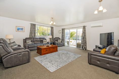 Photo of property in 22 Taumutu Road, Southbridge, 7602