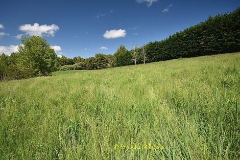 Photo of property in 245 Metcalfe Road, Matakohe, 0593