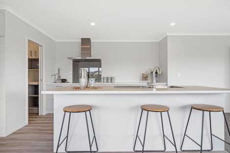 Photo of property in 32 Costello Drive, Ngatea, 3503