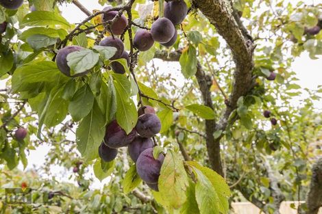 Photo of property in 208a South Street, Feilding, 4702