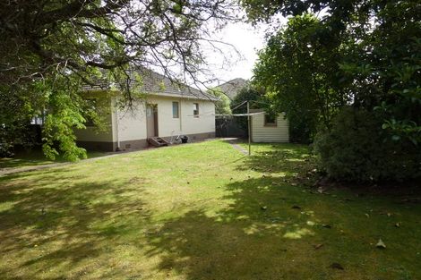 Photo of property in 44 Millar Street, Terrace End, Palmerston North, 4410