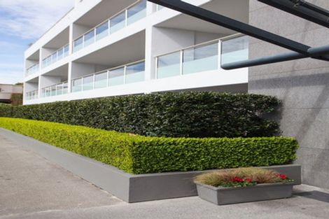 Photo of property in Cooks Apartments, Gg/24 James Cook Crescent, Remuera, Auckland, 1050