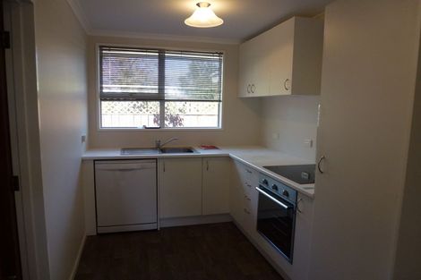 Photo of property in 12b Martin Street, Palmerston North, 4414