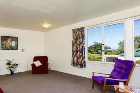 Photo of property in 90 Signal Hill Road, Opoho, Dunedin, 9010