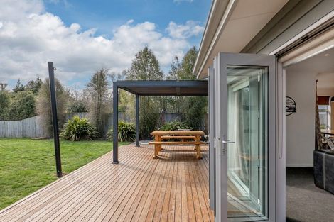 Photo of property in 50 Pocock Road, Springfield, 7681