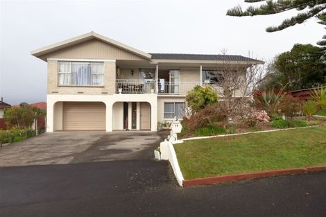 Photo of property in 19 Ridout Street, Maeroa, Hamilton, 3200
