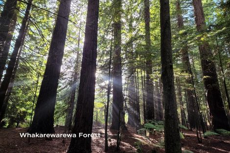 Photo of property in 3 Jameson Avenue, Fenton Park, Rotorua, 3010