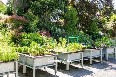 Photo of property in 5/5 Tanner Street, Havelock North, 4130