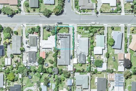 Photo of property in 50 Rimu Street, Waikanae, 5036