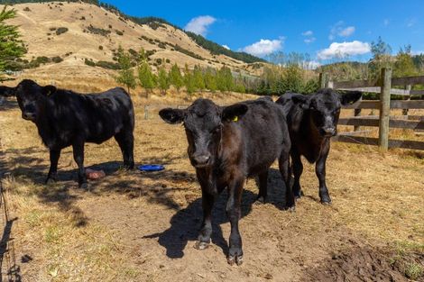 Photo of property in 838 Taylor Pass Road, Taylor Pass, Blenheim, 7274