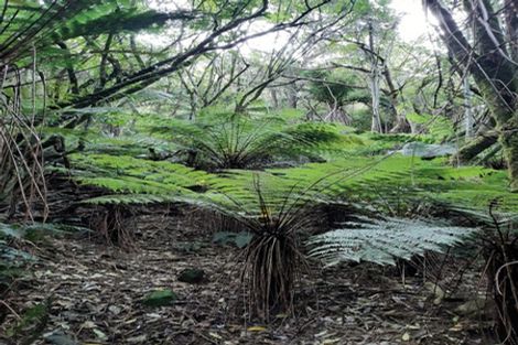 Photo of property in 290 Mount Cargill Road, Mount Cargill, Waitati, 9085