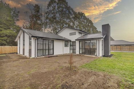 Photo of property in 30 Cooney Avenue, Darfield, 7571