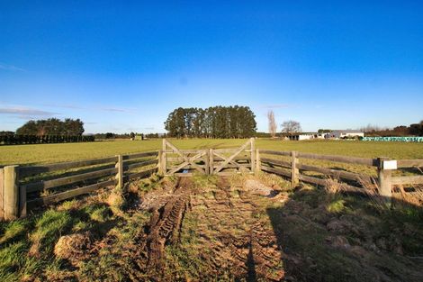 Photo of property in 101 George Street, Edendale, 9825