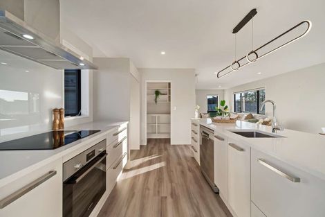 Photo of property in 1 Harrier Place, Amberley, 7410