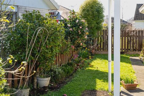 Photo of property in 97b High Street, Solway, Masterton, 5810