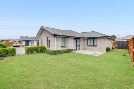 Photo of property in 376 Warburton Crescent, Te Awamutu, 3800