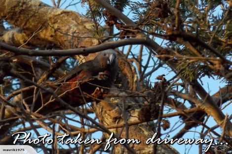 Photo of property in 34a Bennett Street, Paeroa, 3600