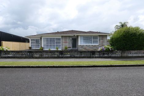Photo of property in 1 Hadfield Street, Levin, 5510