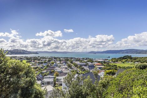 Photo of property in 49 Mantell Street, Seatoun, Wellington, 6022