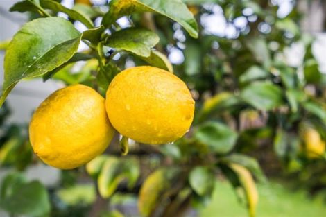 Photo of property in 35b Princes Street, Kensington, Whangarei, 0112