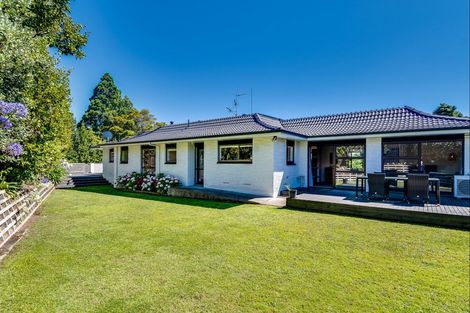 Photo of property in 82 Mchardy Street, Havelock North, 4130